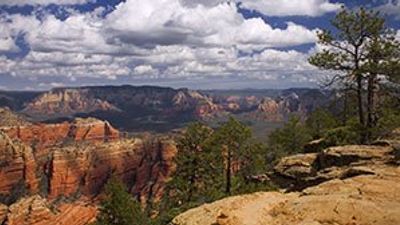 Book tours from Phoenix/Scottsdale Arizona